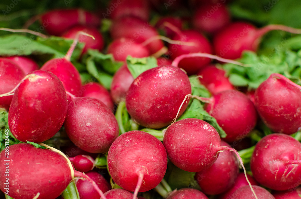 Close up detail of beautiful ripe red radishes Close up detail of beautiful ripe red radishes