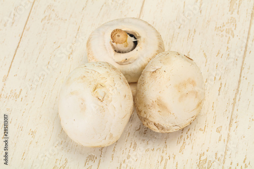 Raw Champignon heap for cooking