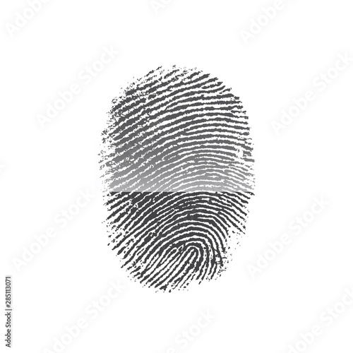 Fingerprint icon isolated on white background. Finger print flat scan. ID app icon. Fingerprint Scan Icon