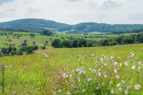 Schöne Landschaft im Mittelgebirge Odenwald in Südhessen