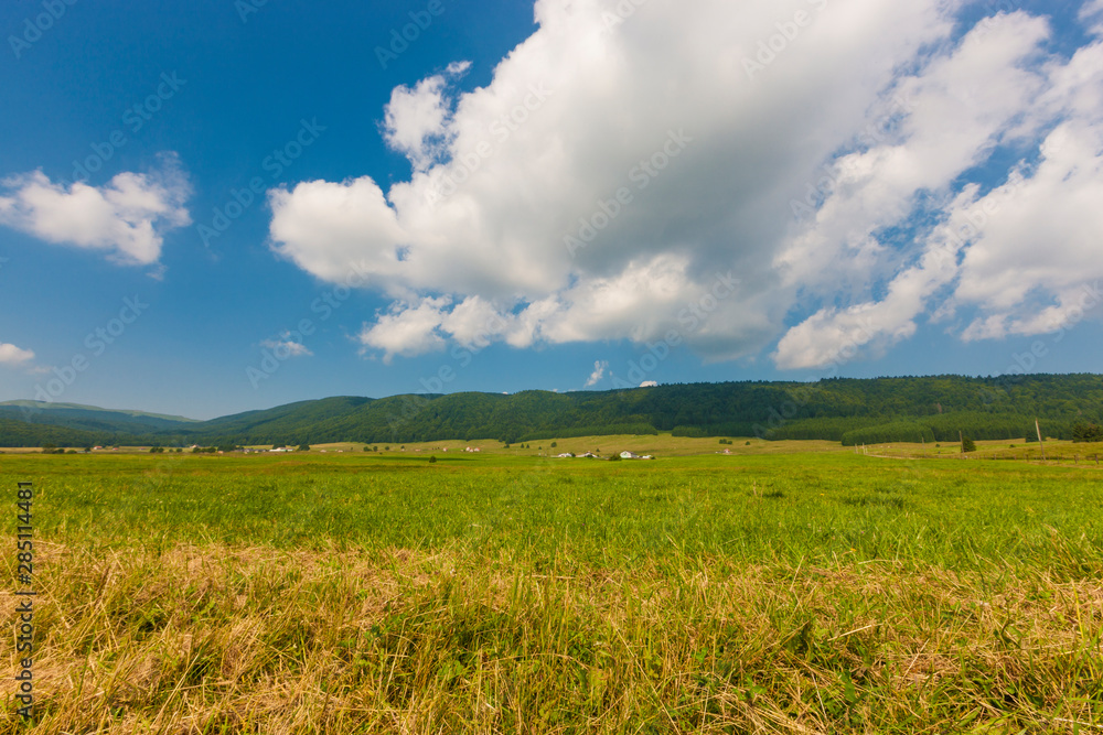 Obraz premium The plateau of Cansiglio in Italy