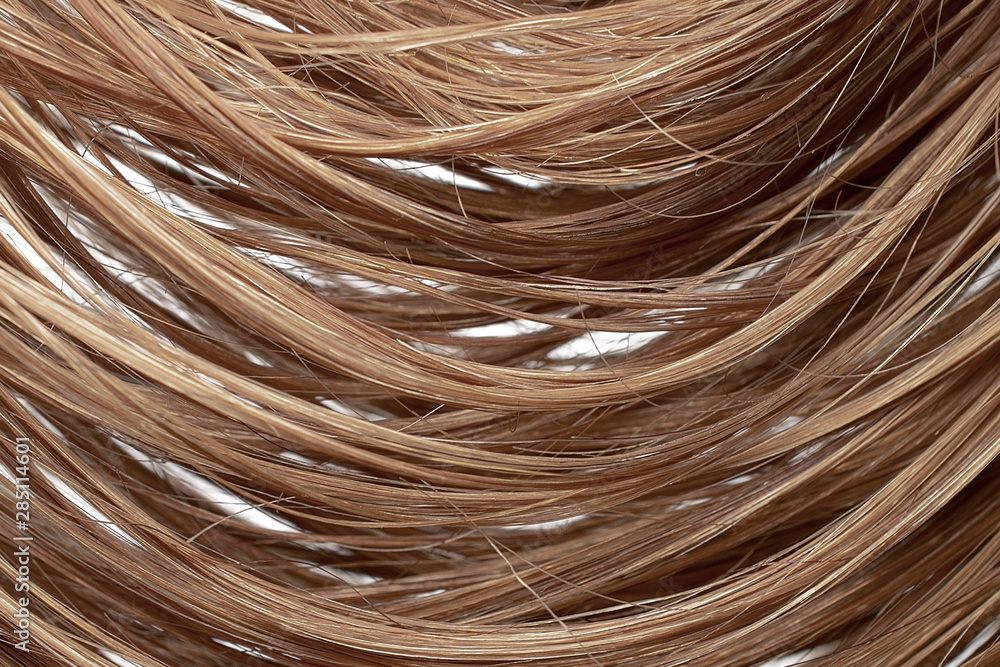 Wet brown hair as background, texture Wet brown hair as background, texture