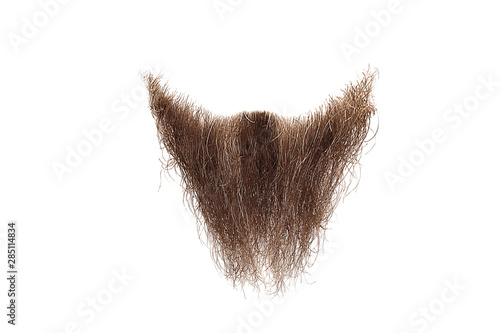 Disheveled brown beard isolated on white. Mens fashion