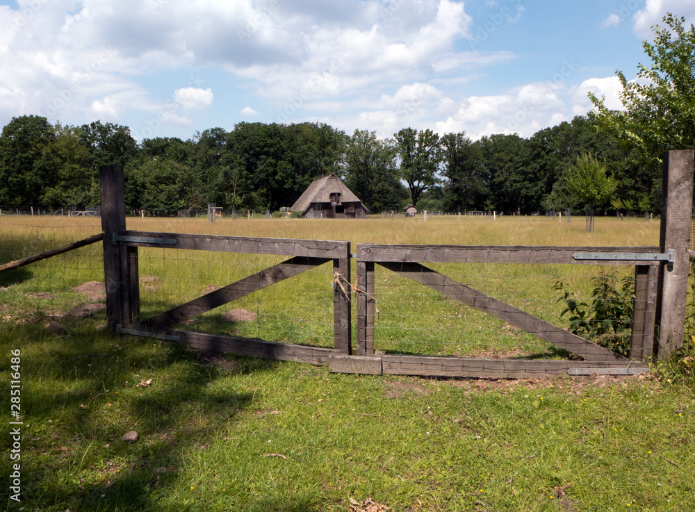 Wanderung durch die Lüneburger Heide auf dem Heidschnucken Weg von Undeloh nach Niederhaverbeck durch wunderschöne Heide Landschaft. Wanderung durch die Lüneburger Heide auf dem Heidschnucken Weg von Undeloh nach Niederhaverbeck durch wunderschöne Heide Landschaft.