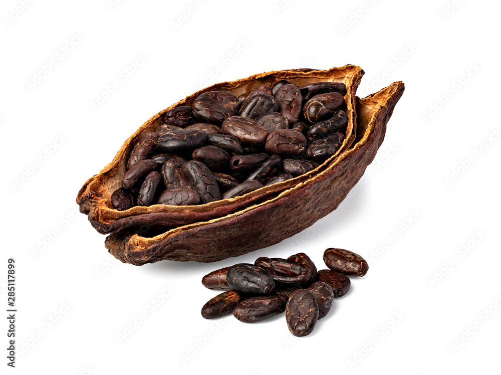 Cocoa pod Cocoa pod