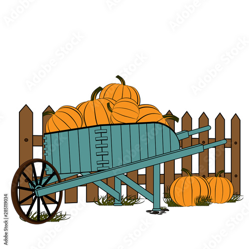 Wooden cart standing by a fence full of ripe pumpkins. Harvesting pumpkins