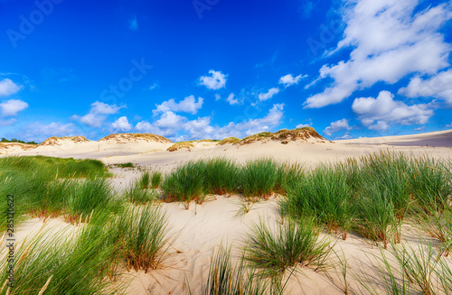 Desert landscape, Slowinski National Park near Leba, Poland photo