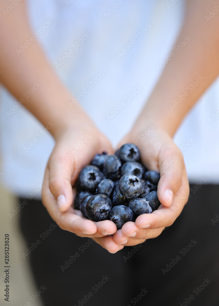 Child holds handful of jumbo Blueberries Child holds handful of jumbo Blueberries
