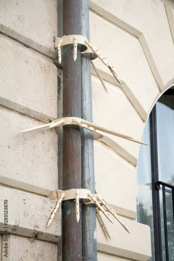 Close-up of special nozzles with spikes on downspouts from intruders on the wall of a historic building in the center of Paris, selective focus