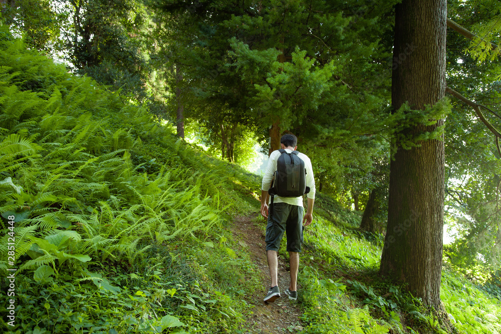 man traveler in forest road background