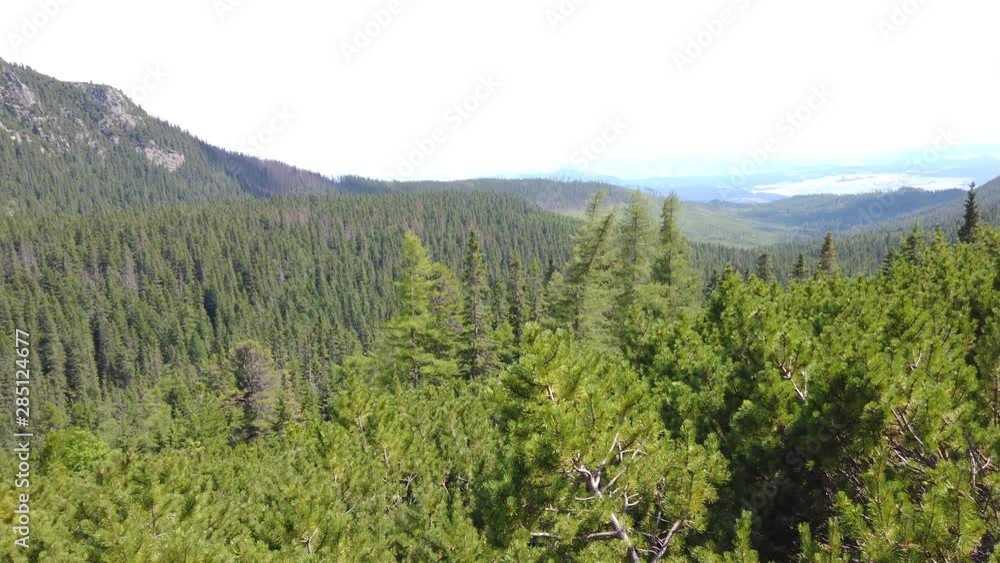 Pan view of the Tatra mountains in Slovakia. Pan view of the Tatra mountains in Slovakia.