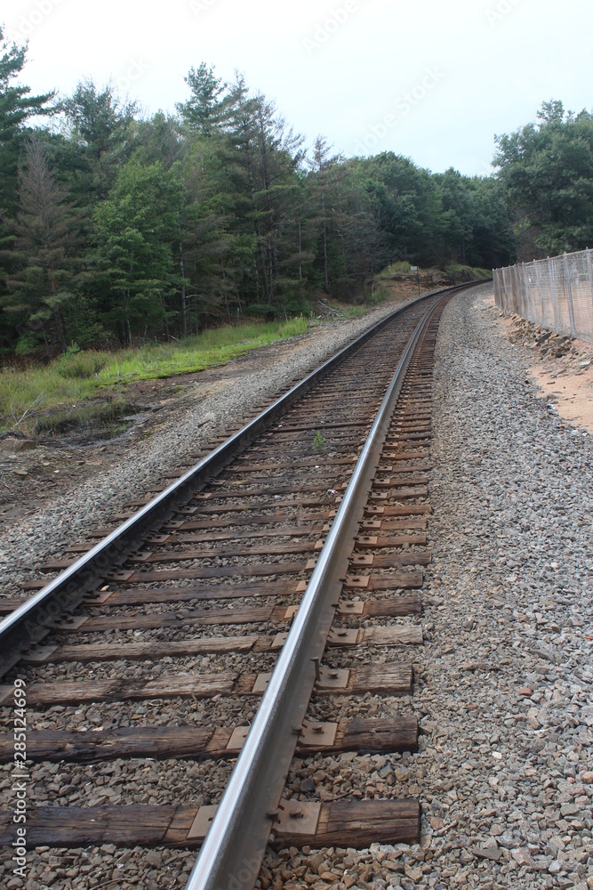 railroad tracks in the forest