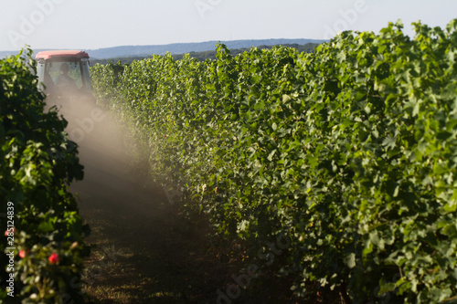 red tractor working in the vineyard