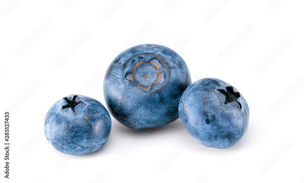 blueberries on a white background blueberries on a white background
