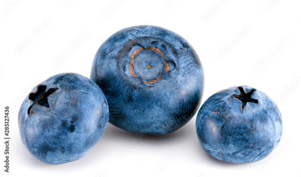 Obraz premium blueberries on a white background
