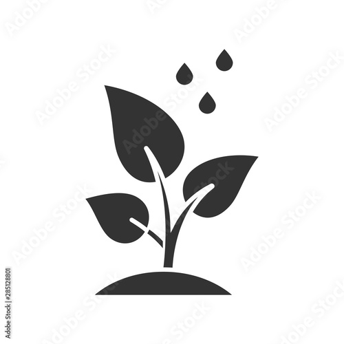 Trees planting glyph icon. Reforestation volunteer project. Small plant and water drops. Care of young seedling. Gardening, forestry. Silhouette symbol. Negative space. Vector isolated illustration