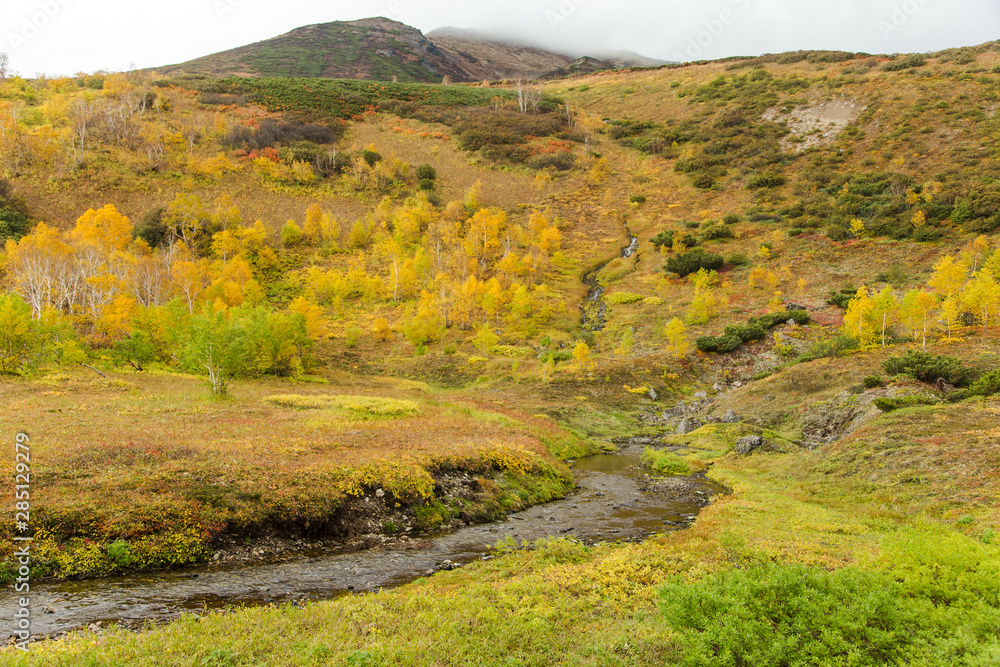 River in mountains. Beautiful autumn landscape in Kamchatka near Vachkazhetz volcano