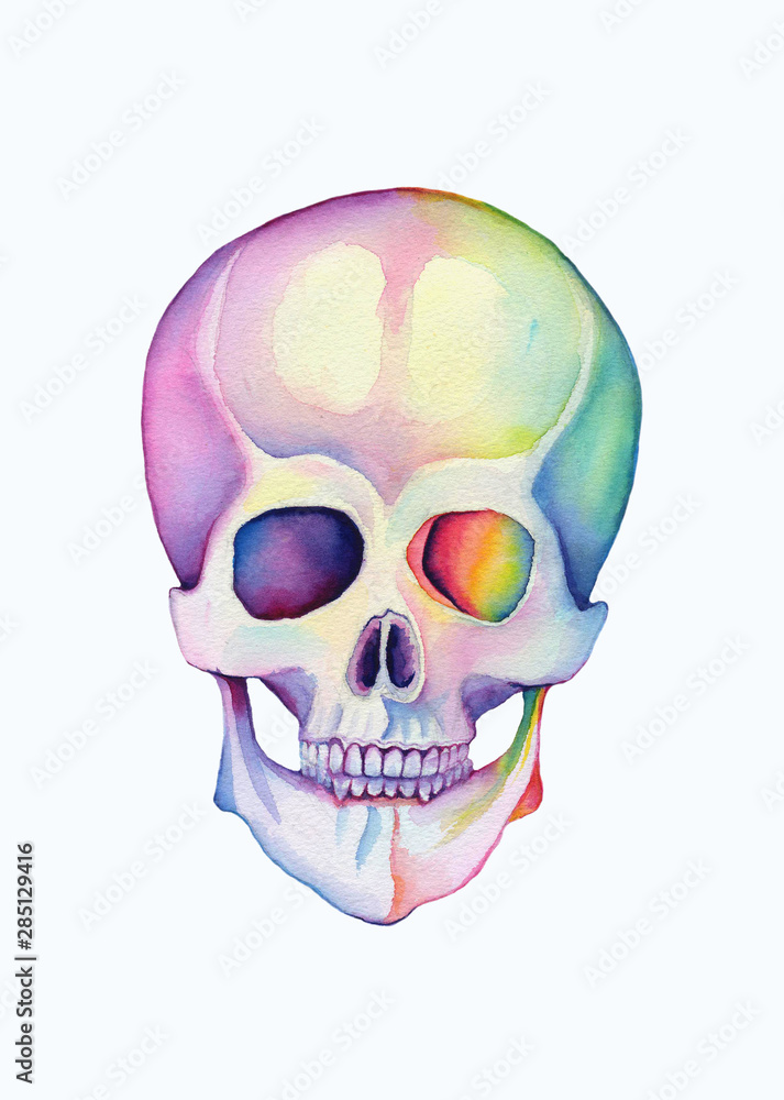 Beautiful hand drawn watercolor rainbow skull isolated on white background Beautiful hand drawn watercolor rainbow skull isolated on white background