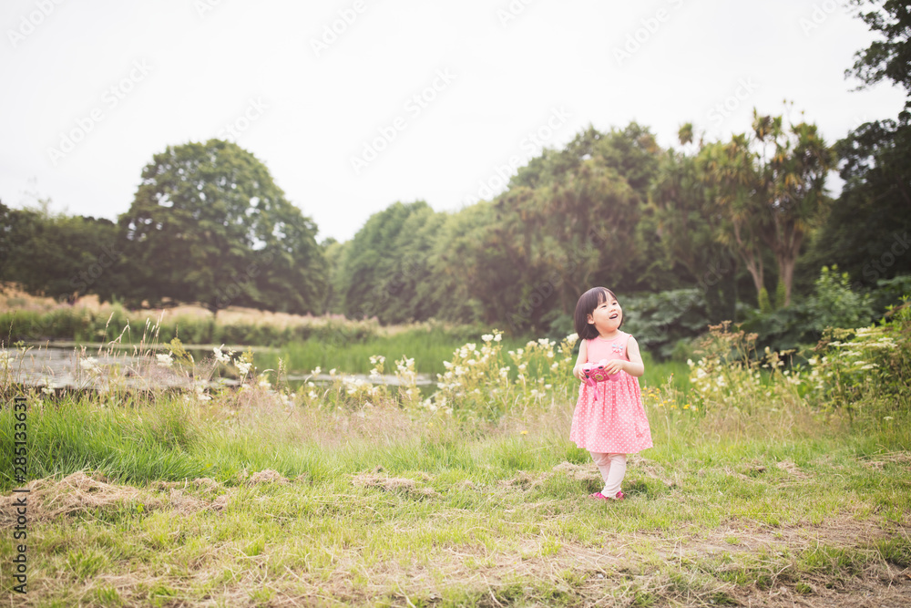 toddler girl playing exploration  at sunny summer countryside,Northern Ireland