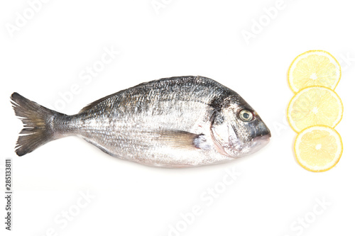 Fresh Dorado Fish isolated on white background ingredients for cooking. View from above.