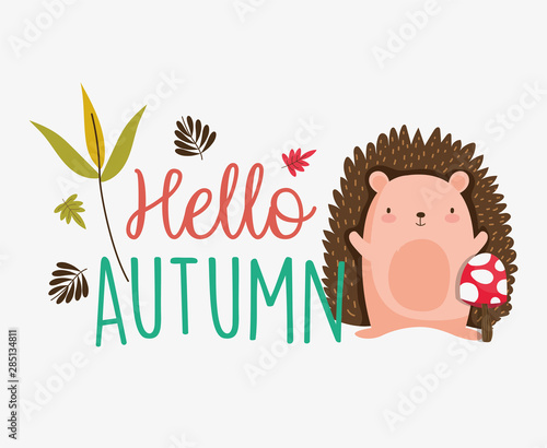hello autumn season flat design