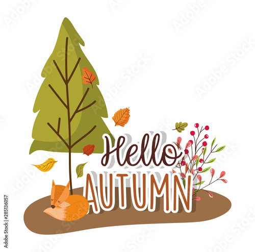 hello autumn season flat design