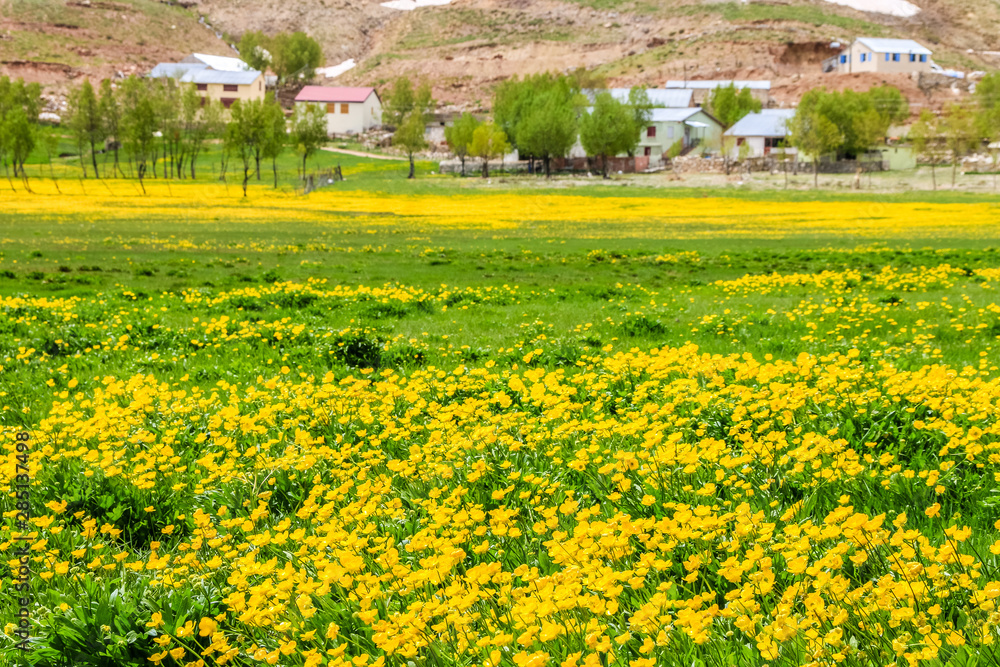 Obraz premium landscape with lake and mountains