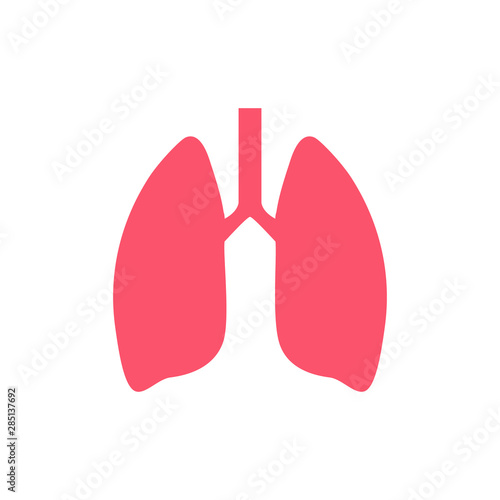 Lung human icon, respiratory system healthy lungs anatomy flat medical organ icon