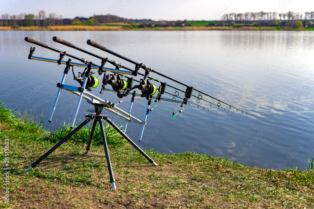 Carp fishing rods standing on rod pod near the lake during sunrise