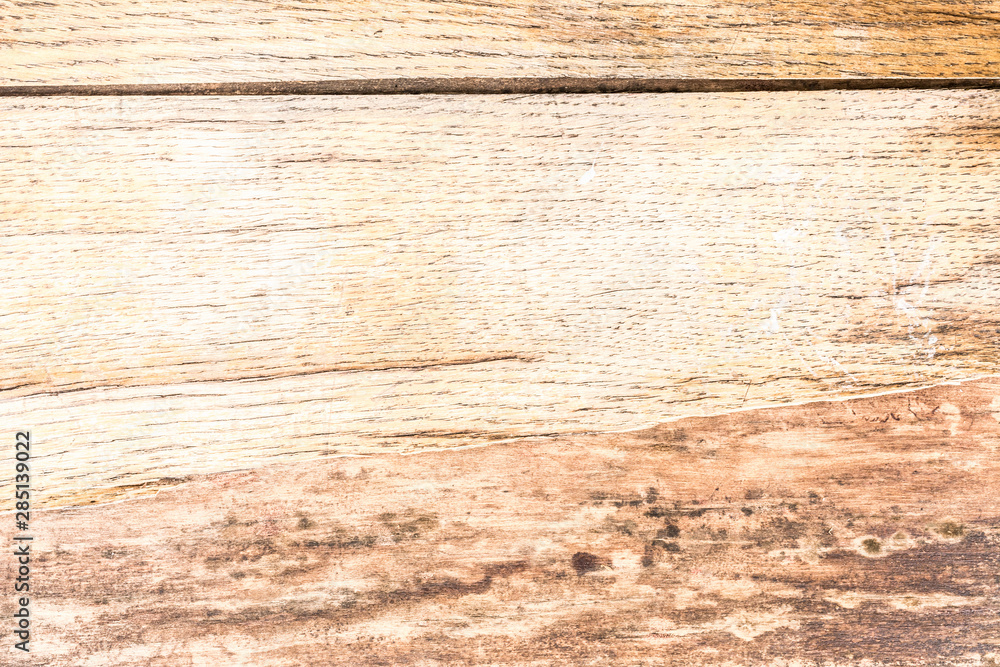 The Old wood peel light texture. Grunge abstract background. The Old wood peel light texture. Grunge abstract background.