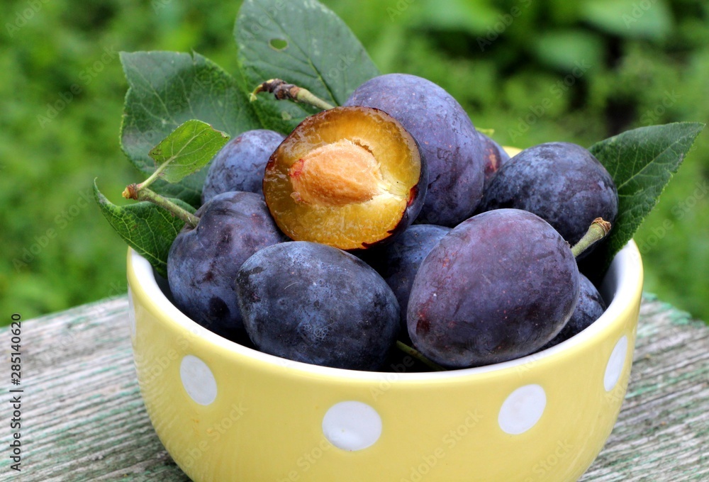 Fototapeta premium Purple fresh ripe organic plums in a ceramic bowl on a table in the garden on blurred background. Fall harvest and jam making concept. 