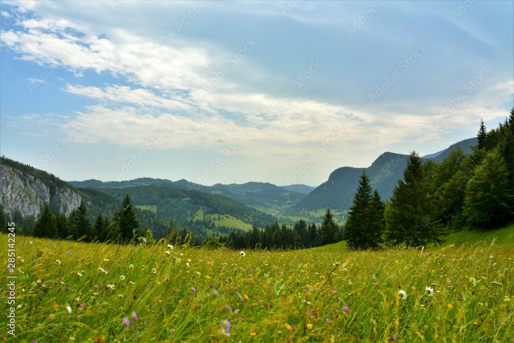 summer mountain landscape