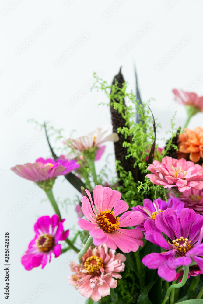 pink daisy flowers and orange ball dahlia flower, colorful summer bouquet in vase, white background