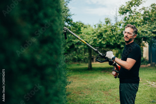 Caucasian man trimming an arizonica hedge with mechanical tools