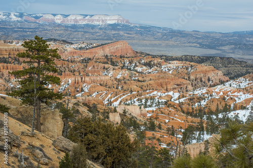 Bryce Canyon in spring - broad view of sunlit BC. Foreground frame by green pine trees, red / ochre canyon cliffs partly covered by white snow. Mountains on distant horizon