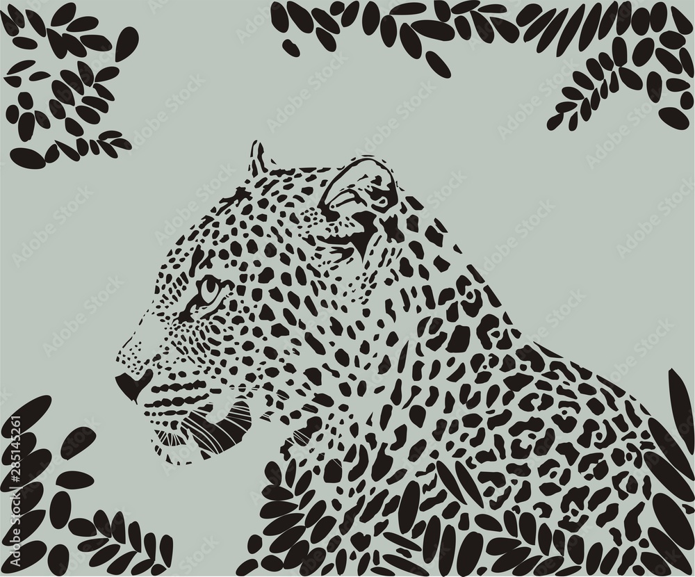 africa, animals, backgrounds, big cat, black, camouflage, carnivore, drawing, design, fashion, feline, hunting, leopard, leaves, mammal, nature, pattern, power, predator, safari, speed, spots, strengt Stock Vector | Adobe Stock africa, animals, backgrounds, big cat, black, camouflage, carnivore, drawing, design, fashion, feline, hunting, leopard, leaves, mammal, nature, pattern, power, predator, safari, speed, spots, strengt Stock Vector | Adobe Stock