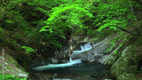 waterfalls in the Nishizawa Valley photo