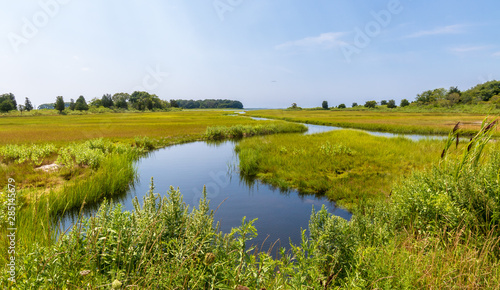 Tidal creek flowing through a salt marsh