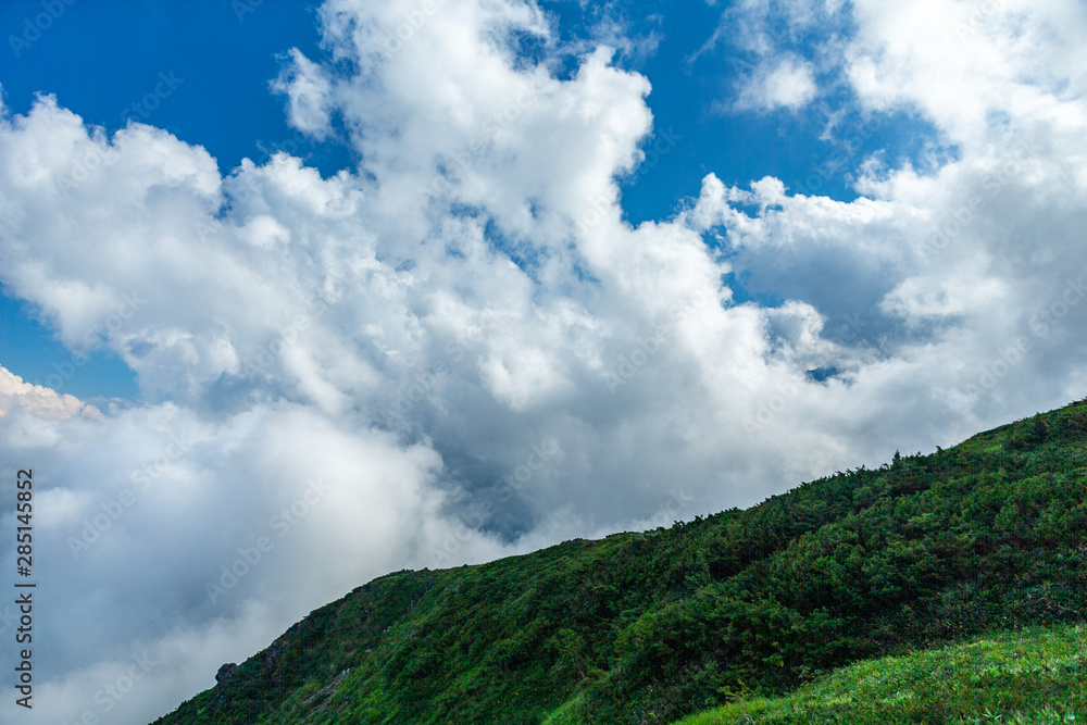 自然 登山 旅行 白馬大池 自然 登山 旅行 白馬大池