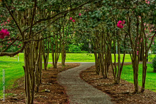 Wallpaper Mural Park pathway Torontodigital.ca