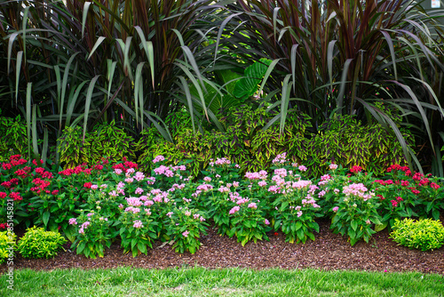 Wallpaper Mural Floral array Torontodigital.ca