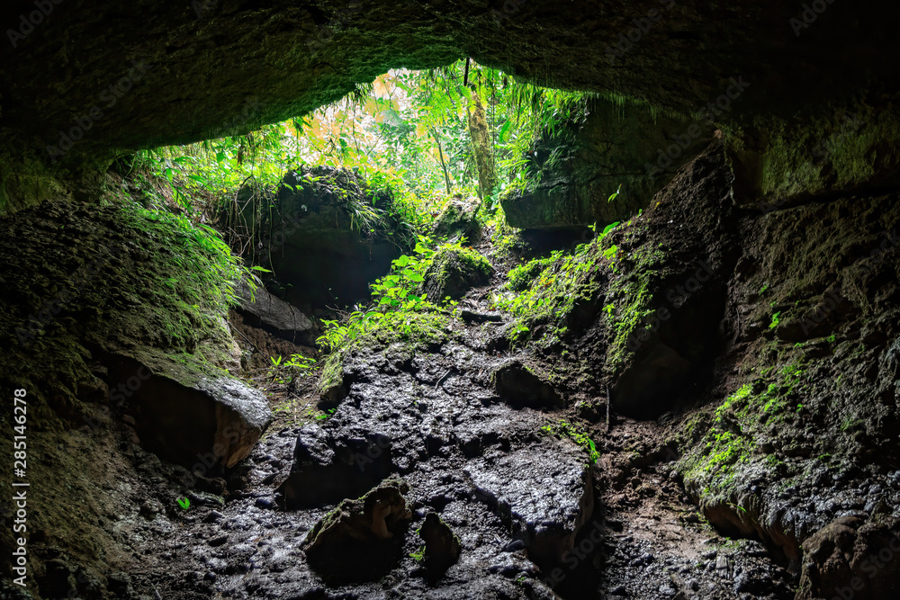 Exit of a cave seen from the inside. You can see lianas and the vegetation of a jungle. Amazon, South America