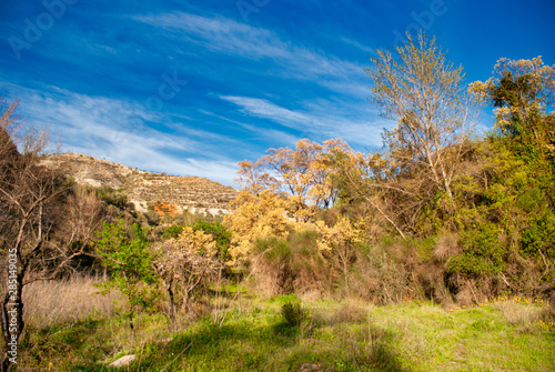 paisaje otoñal de la Alpujarra