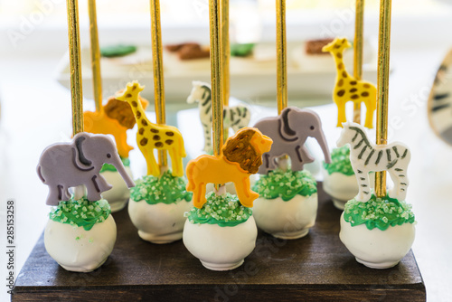 Safari Themed Birthday Party Cake / Cupcake dessert  photo