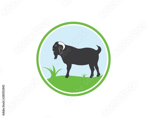 Goat Logo Template vector illustrtion