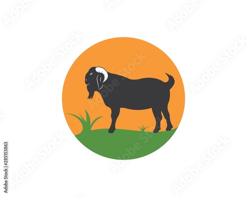 Goat Logo Template vector illustrtion