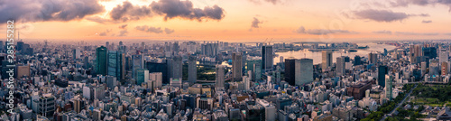 Photography Aerial drone Panorama - Skyline of the city of Tokyo, Japan at sunrise