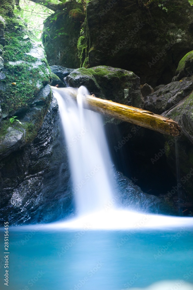 Fototapeta premium 滝