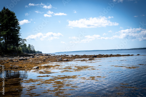 Fototapeta Naklejka Na Ścianę i Meble -  Atlantic Ocean Landscape In Maine