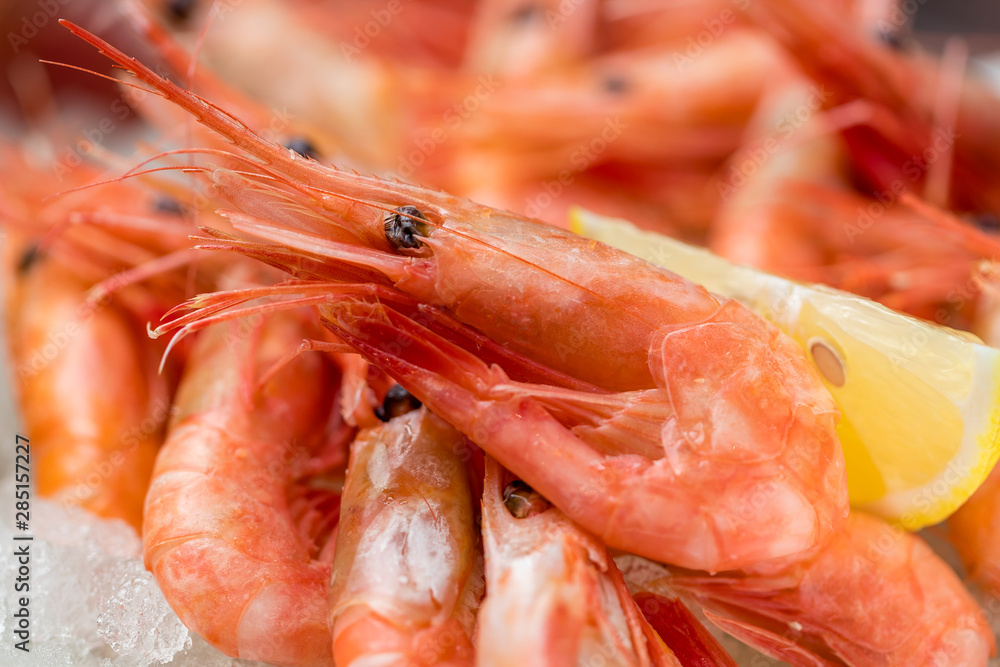 boiled shrimp on ice on grey concrete table boiled shrimp on ice on grey concrete table
